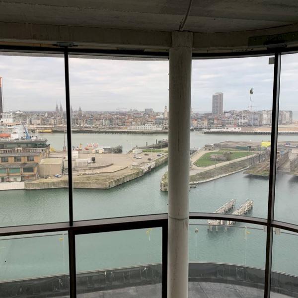 Algemene glasreiniging